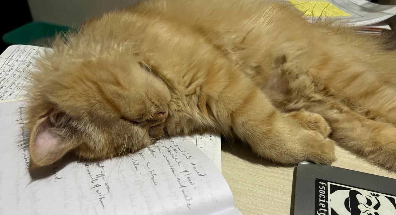 Sleeping Salem